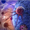 Cancer immunology research